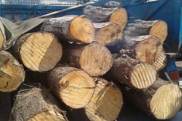 توقیف یک دستگاه نیسان